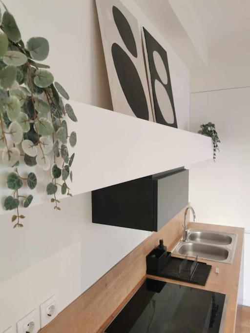 Cdv Stylish Athens Flat公寓 外观 照片